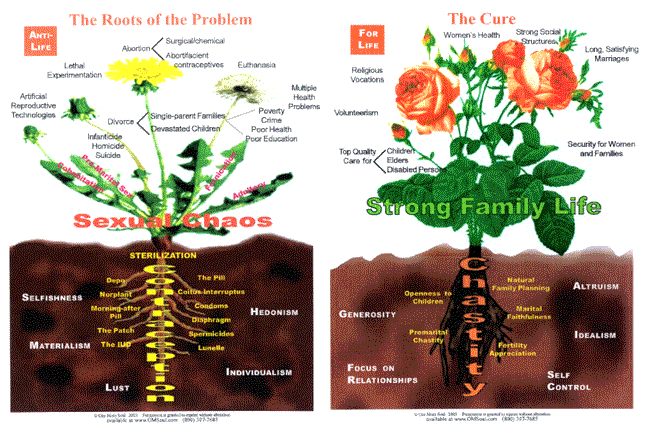 Roots of The Problem poster