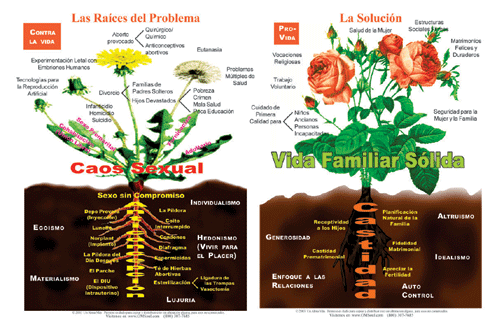 Cartel 'Las Raices del Problema'