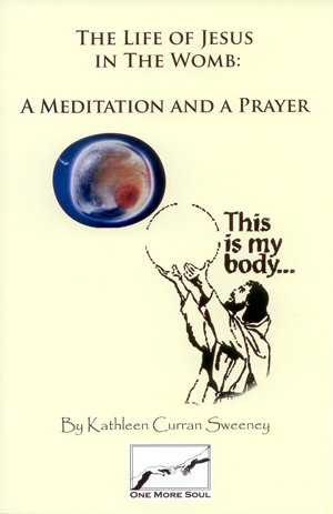 Meditation and a prayer, the life of Jesus in the womb. A nine month journey explaining the life of carrying a child.