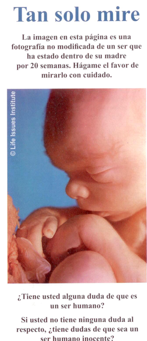 Cardenal Egan presenta una bella imagen de un bebe antes de nacer de 20 semanas de edad y desafia al espectador a ver lo que la imagen claramente muestra.