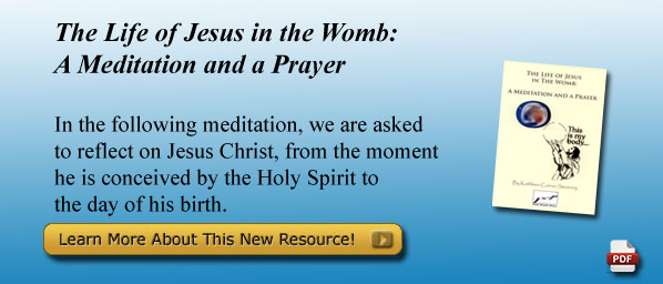 The Life of Jesus in The Womb: A Meditation and a Prayer